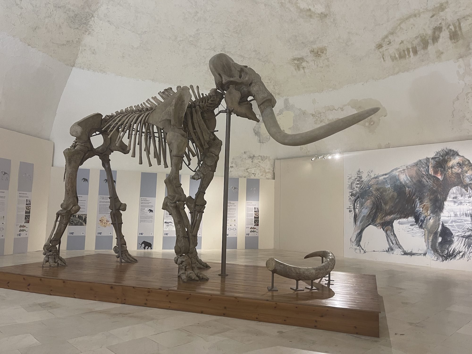 🏰 스페인 요새(포르테 스파뇰로)